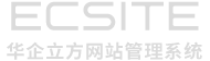 FIRST SEO SYSTEM